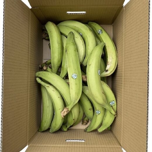 Karton grüne Kochbananen (Plantain)