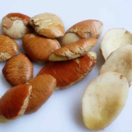 Ogbono / Mangokerne 50 g