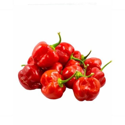 Frozen red chillies