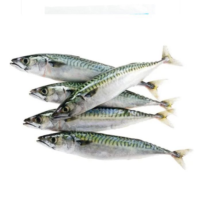 Mackerel 1 kg