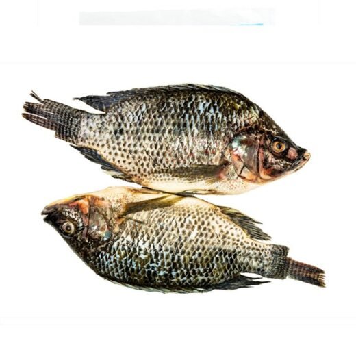 Grauer Tilapia 300/500 g